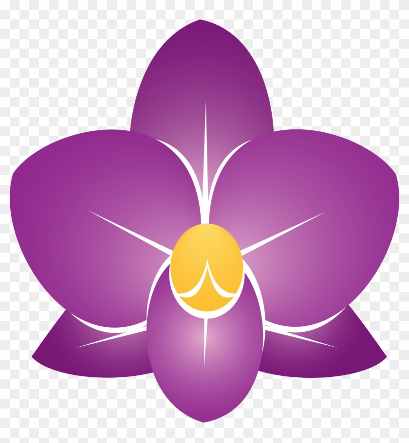 Orchid Package - Cattleya Clipart #862646