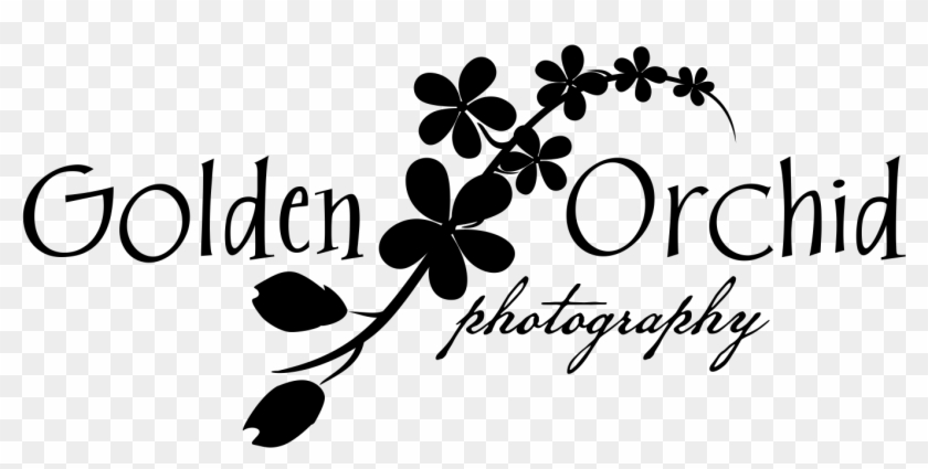 Golden Orchid Png Black Flower - Calligraphy Clipart #863069