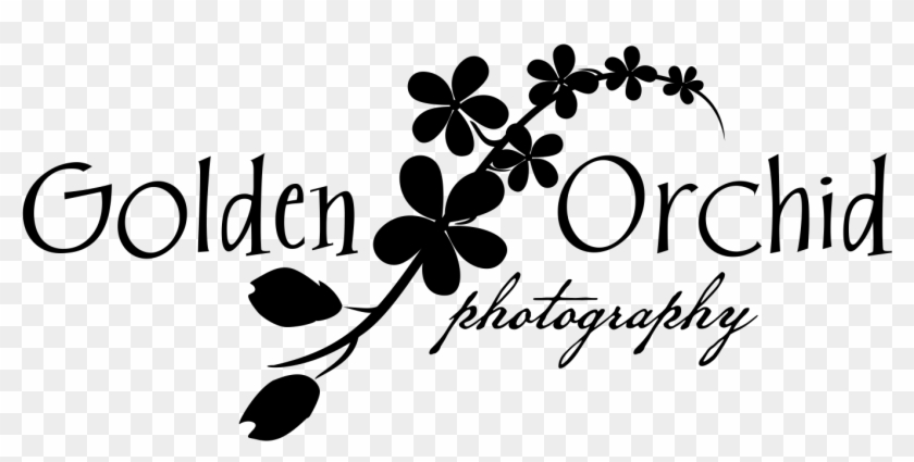 Golden Orchid Png Black Flower - Calligraphy Clipart