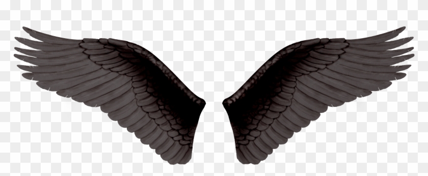 Black Wings - Png Картинки Для Фотошопа Clipart #863163
