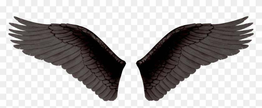 Black Wings - Png Картинки Для Фотошопа Clipart