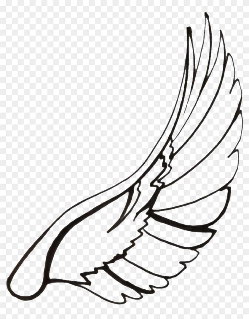 Vector Royalty Free Stock Drawn Dove Spread Drawing - Dove Wings Drawing Clipart