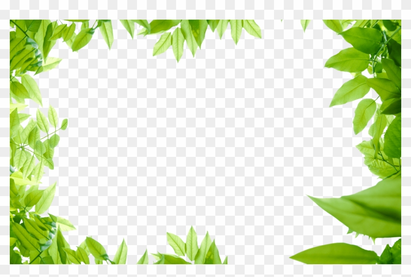 Collection Of Free Leaf Transparent Border Download - Transparent Green Leaves Png Clipart #863529