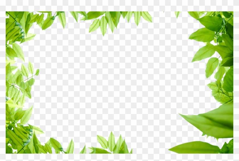 Collection Of Free Leaf Transparent Border Download - Transparent Green Leaves Png Clipart