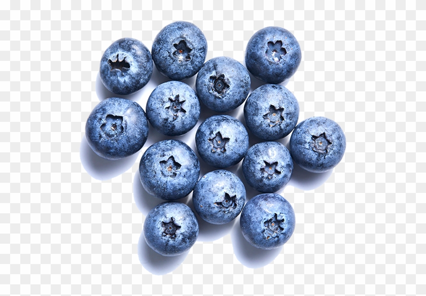 Blueberry-individuallg - Blueberry Clipart