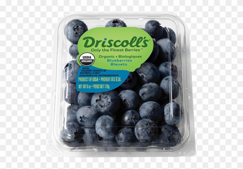 Driscoll's Organic Blueberries - Mora Azul Clipart #864216