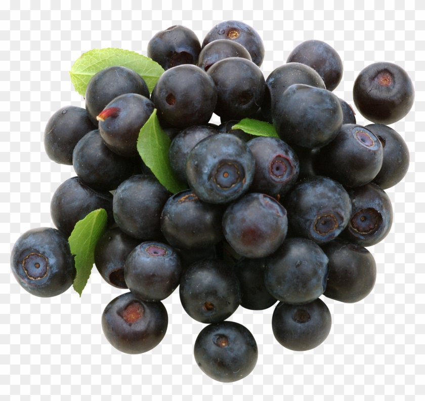 Free Png Blueberries Png Images Transparent - Blueberry Clipart