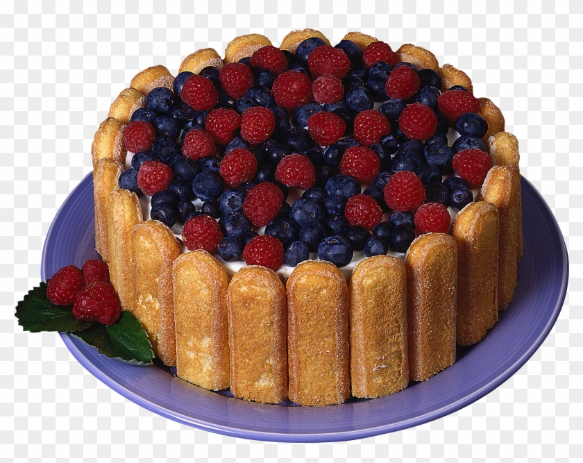 Charlotte Dolce Clipart #864462