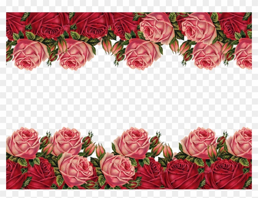 Post Navigation - Garden Roses Clipart #864906