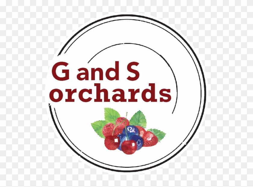 Blueberries - Chit Chat Clipart