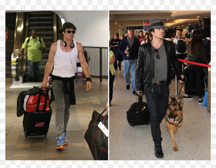 Celebrity Luggage Airport Clipart