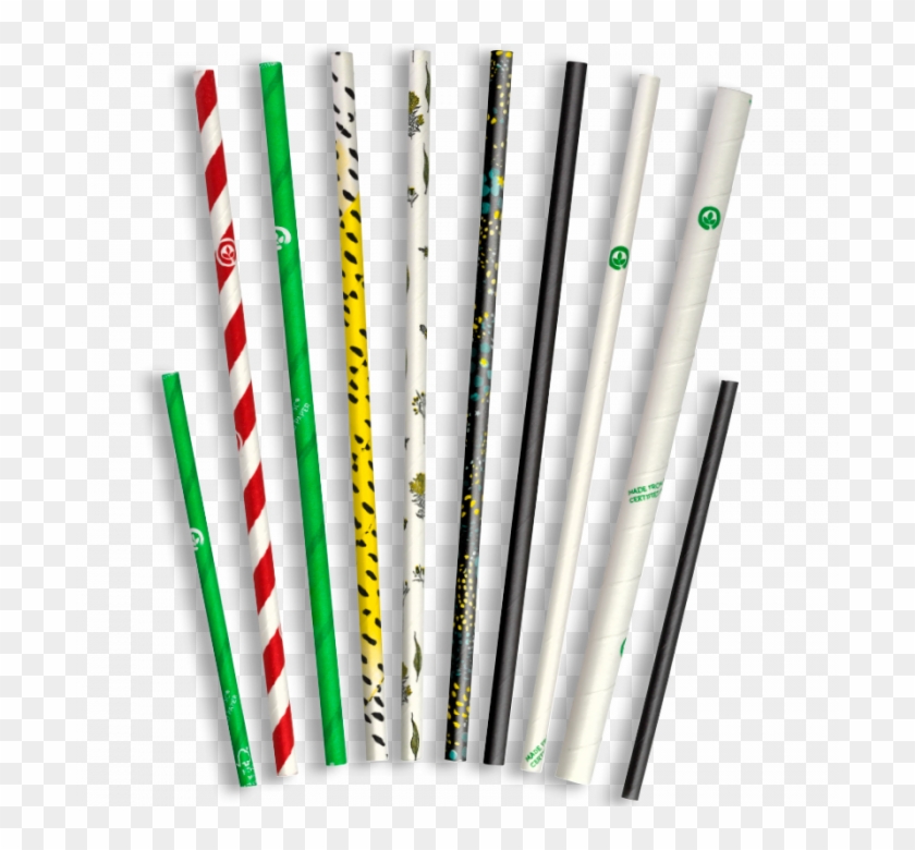 Paper Straws, Eco Friendly - Bamboo Flute Clipart