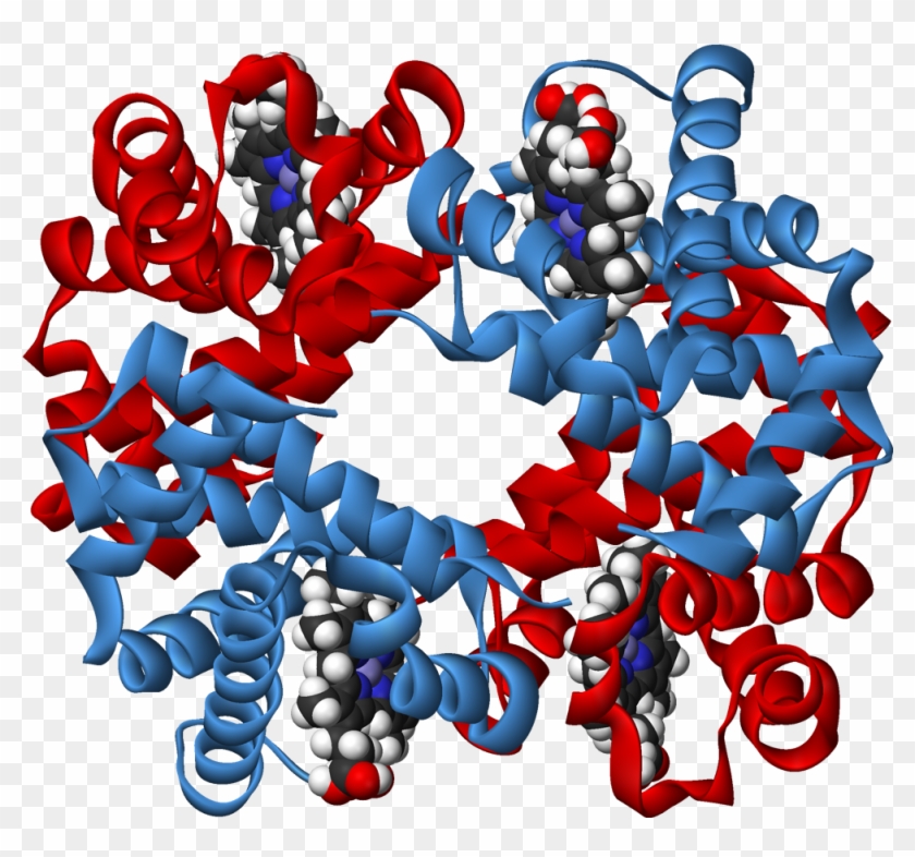 Haemoglobin 3d Ribbons - Carbohydrates Polysaccharide 3d Clipart #870786