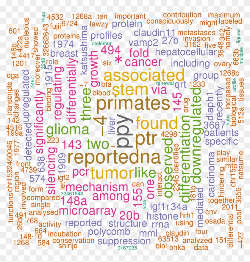 Stem Loop Sequence Hsa Mir - Illustration Clipart