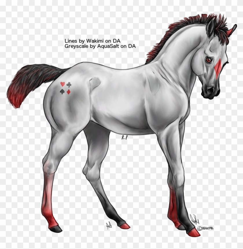 Solitaire Came To Us As A Foal, Growing An Alter-ego - Stallion Clipart #873789