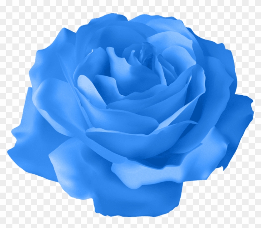 Free Png Download Blue Rose Transparent Png Images Clipart #873897
