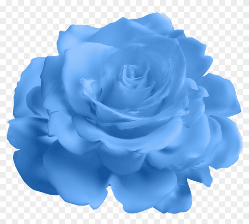 Blue Rose Transparent Png , Png Download Clipart #874199