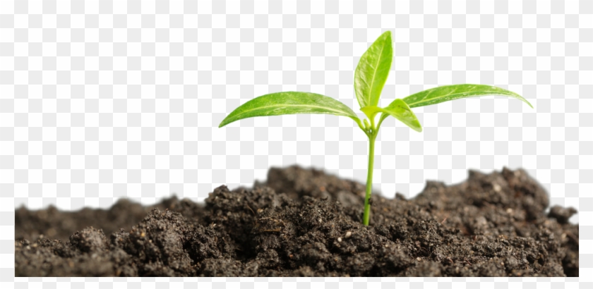 Every Teaspoon Of Soil Is Home To Billions Of Microorganisms - Fertilizer Clipart #874243