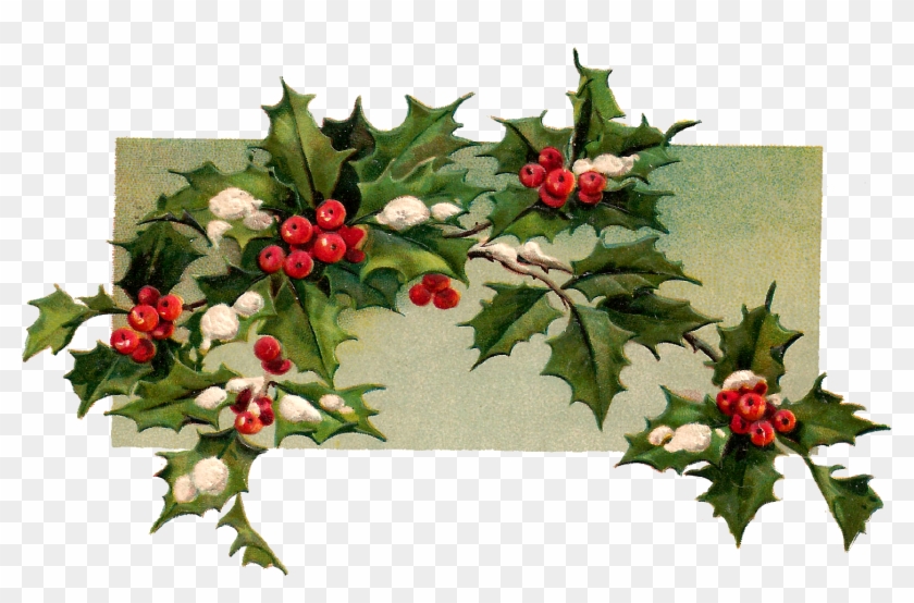 Digital Christmas Holly Download - Hollyleaf Cherry Clipart
