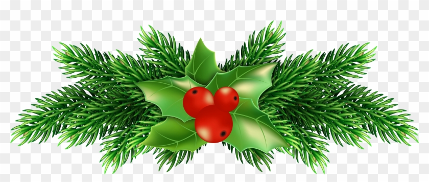 Christmas Holly Png Transparent Clipart