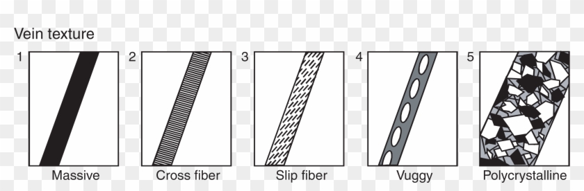 Textures Used To Describe Veins - Solution Blow Spinning Fiber Slit Width Clipart