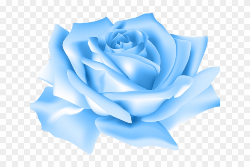 Blue Flower Clipart Blue Rose - Pink Rose Png Transparent