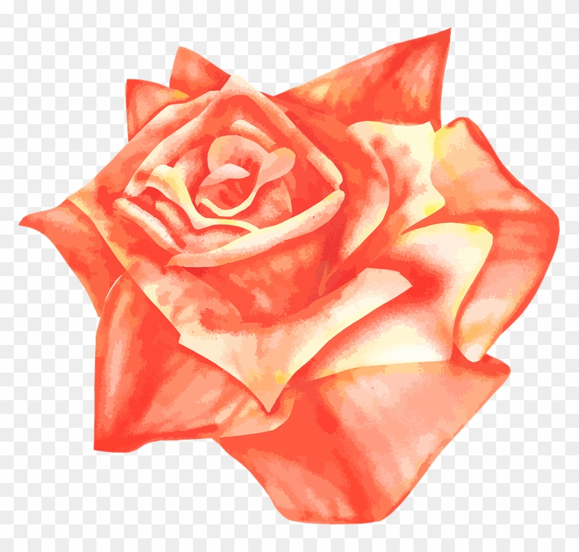 Photo From Pixbay - Flores Color Salmon Png Clipart
