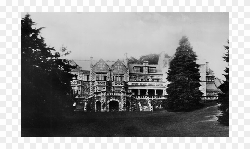 Christmas Tree Clipart #875076