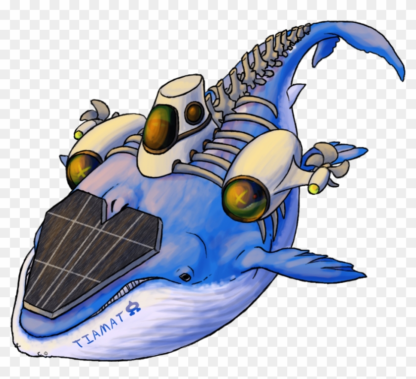 Wailord - Sharkpedo Evolution Clipart