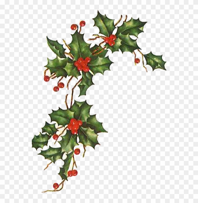 Days Of Gifts From Little Flowers - Christmas Ivy Clipart