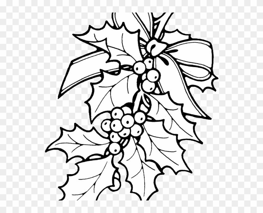 Holly - Christmas Coloring Pages Mistletoe Clipart