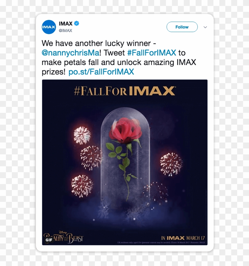 A Petal Was Programmed To Fall Every Time A Particular - Martinis And Imax Clipart