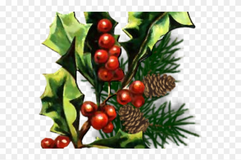 Christmas Holly Graphics - Christmas Tree Clipart