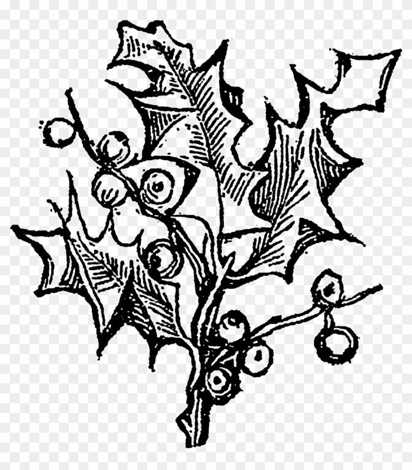 Digital Botanical Stamp Downloads - Illustration Clipart