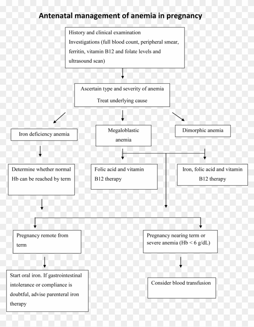 Effects Of Anemia In Pregnancy - Management Of Severe Anaemia In Pregnancy Clipart