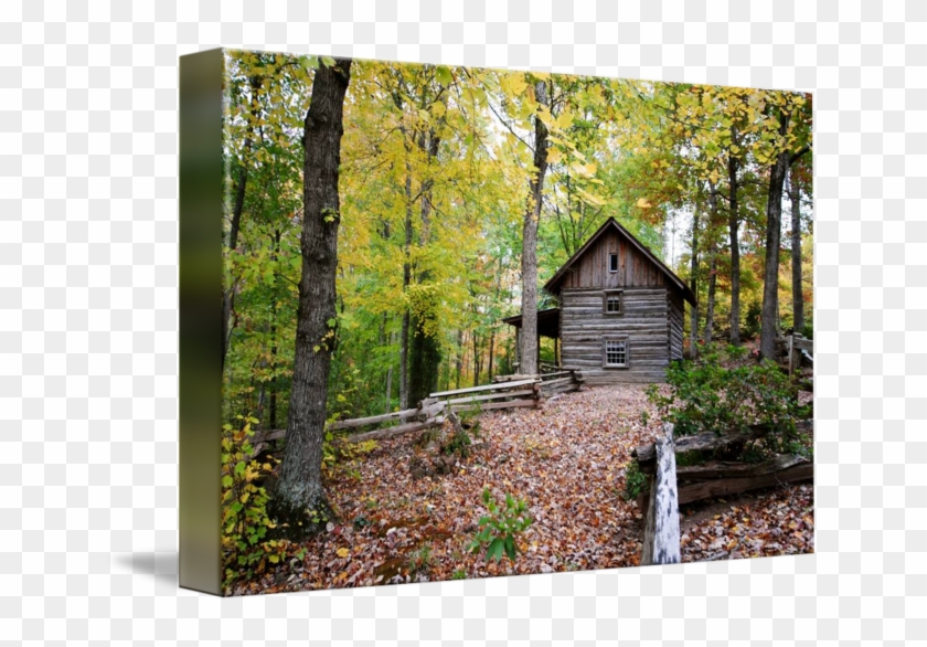 1800s Cabin In The Woods Clipart