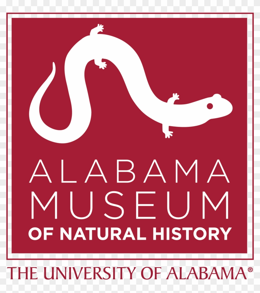 Alabama State University Logo Png - University Of Alabama Clipart #877855