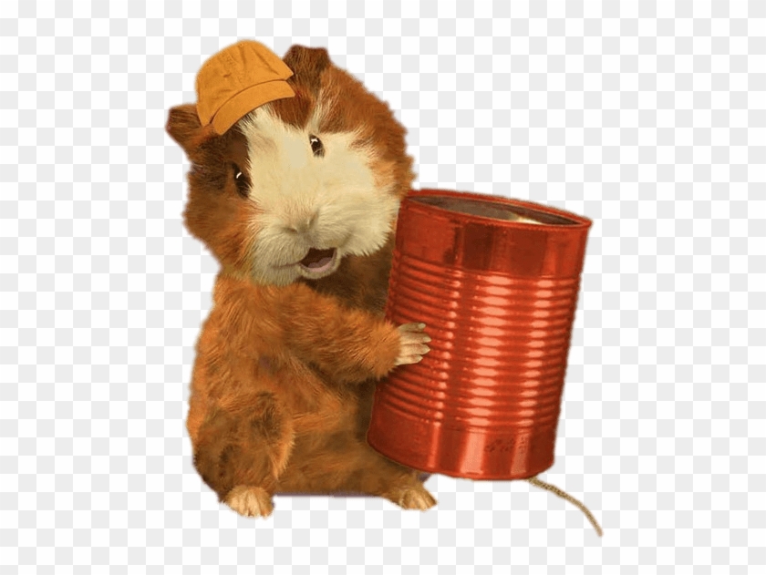 Download - Wonder Pets Clipart