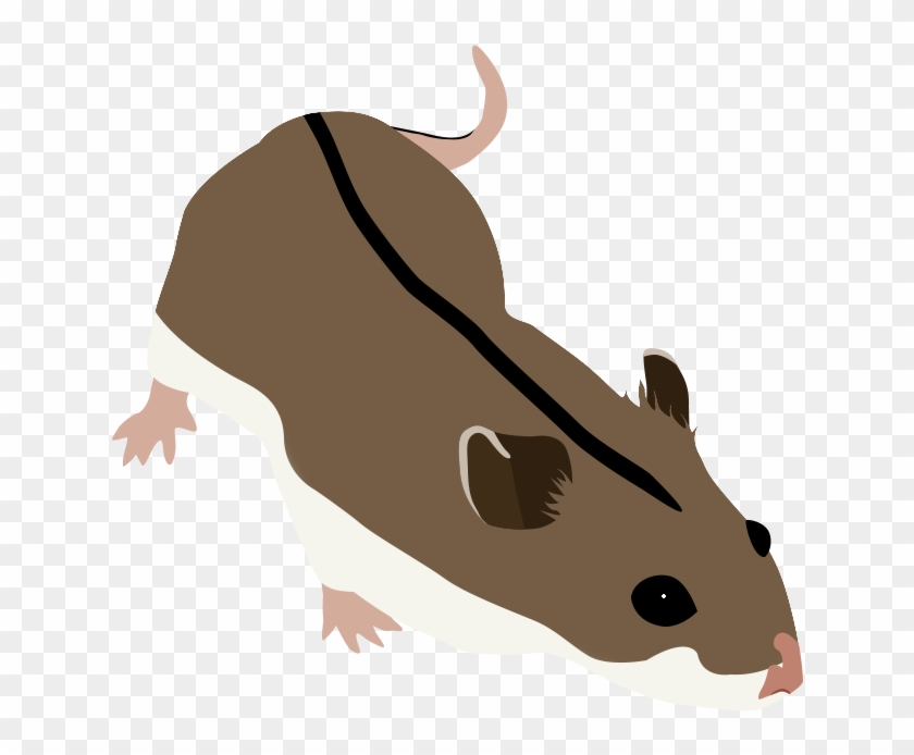 Chinese Hamster - Rat Clipart #878319