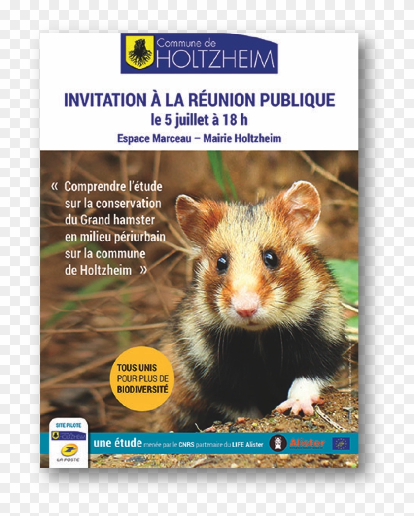 The Urban Periphery Goal Progress Report - Interdit Au Public Clipart