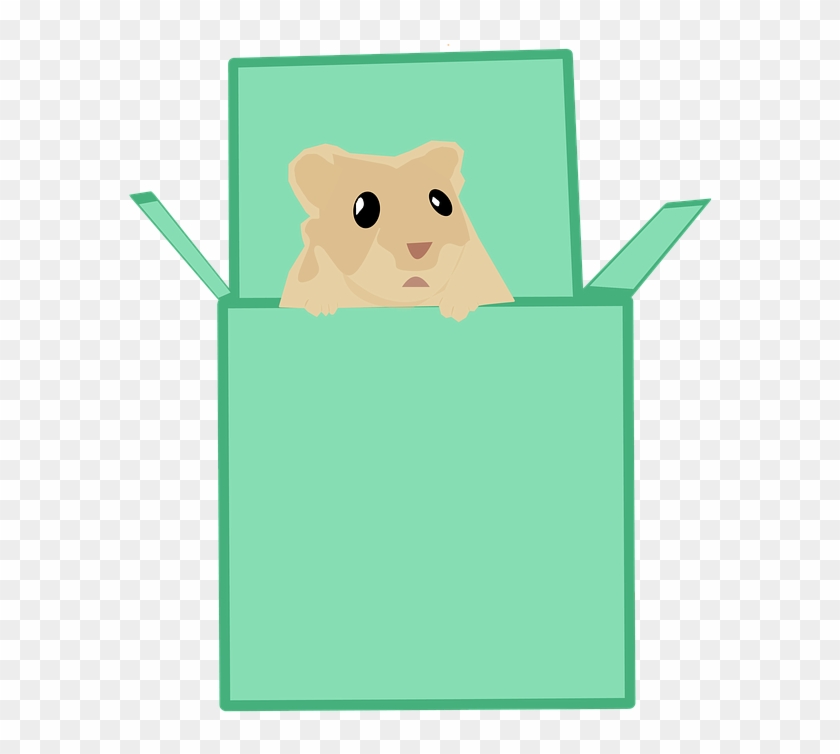 Box, Cute, Hamster, White, Pet, Trapped, Design - Cartoon Clipart #878908