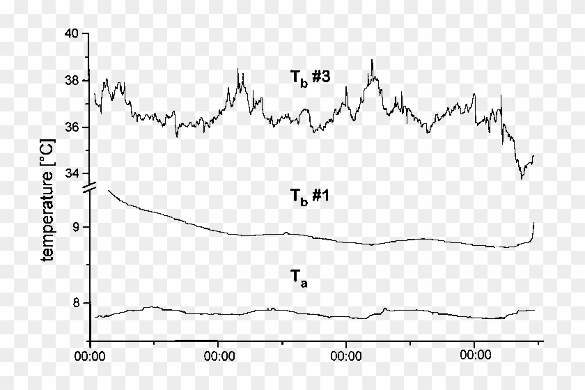 Fluctutations Of Body Temperature During Euthermy (hamster - Plot Clipart #879366