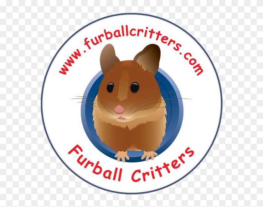 Furball Critters Hamsters Rats Chinchillas Santa Cruz - Rat Clipart #879527