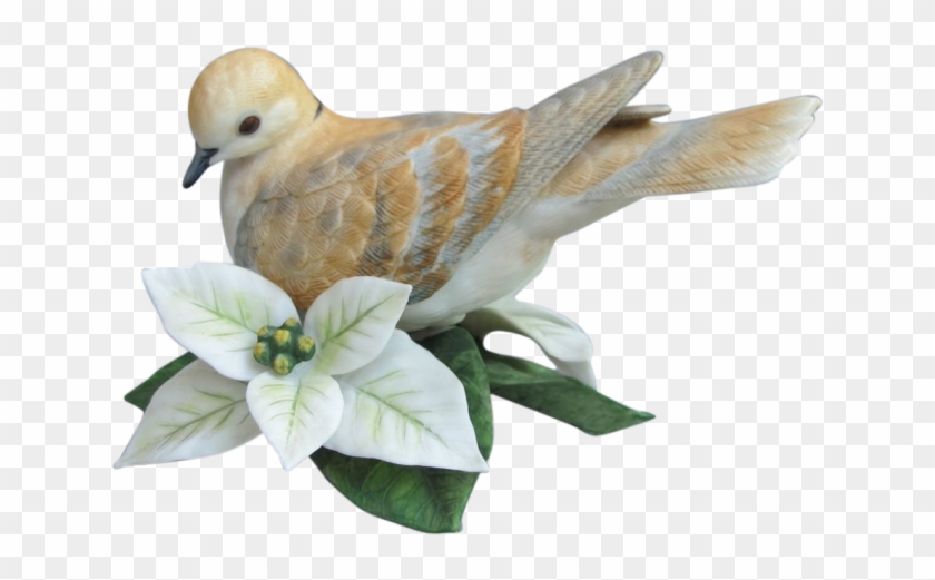 Turtle Dove Clipart Transparent Background - Turtle Dove Png