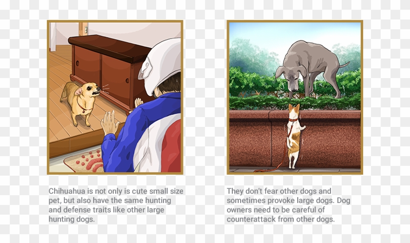 Chihuahua - Indian Elephant Clipart