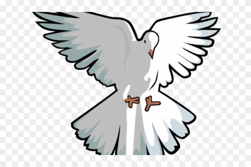 Turtle Dove Clipart Transparent Background - Dove Clip Art - Png Download