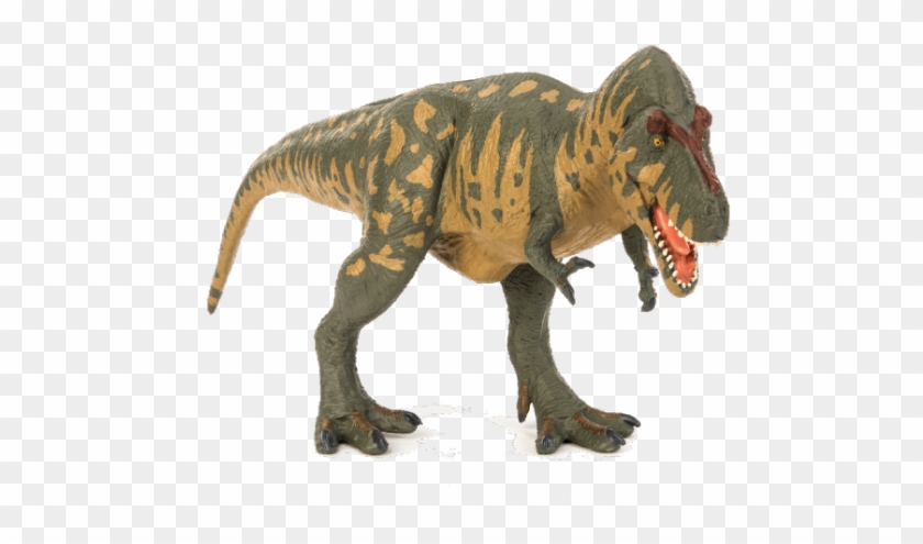Collectible Animals And Playsets With Realistic Details - Terra By Battat T Rex Clipart