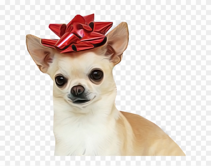Chihuahua Dog For Sale Transparent Background - Happy New Year 2019 Chihuahua Clipart #881960