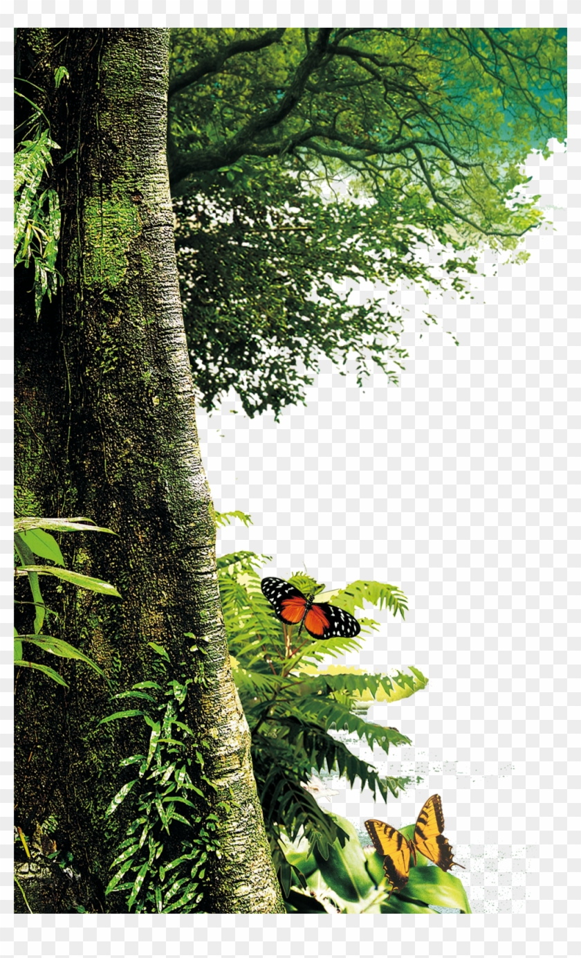 Forest Download Png - Edificios Antigos Sao Paulo Clipart