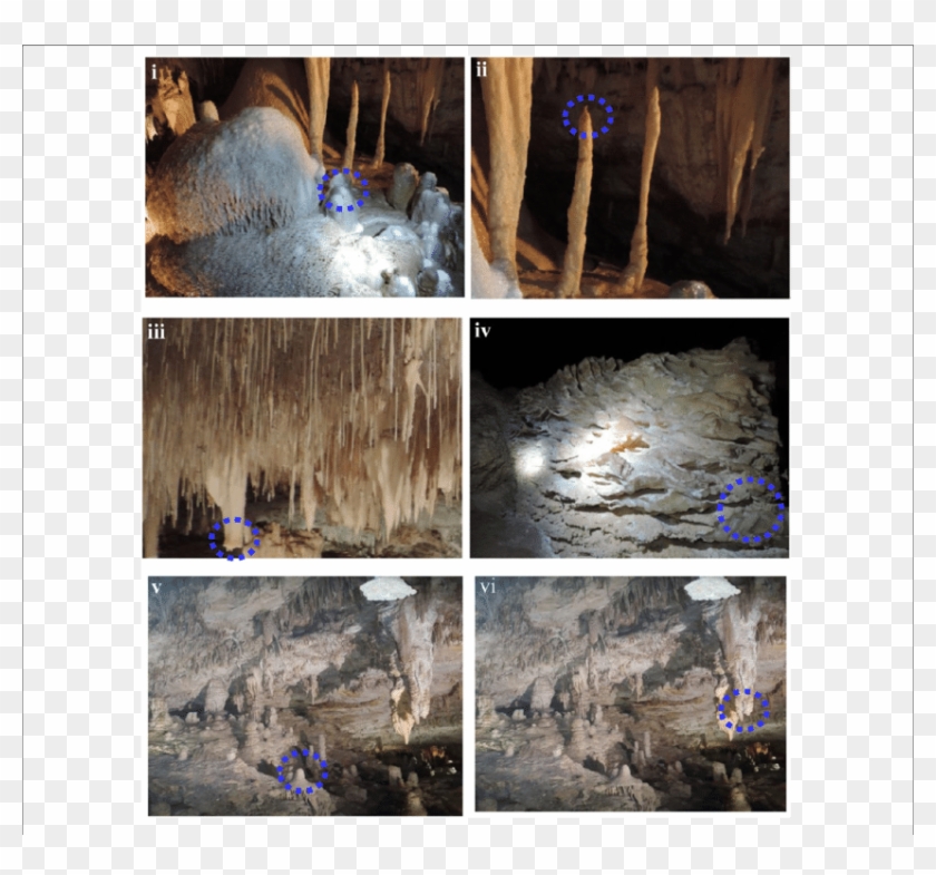 Cave Speleothems Collected From Lake Cave (iv) Moondyne - Soda Straw Clipart